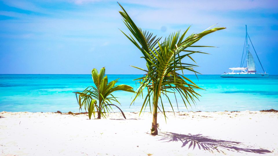 Saona Island Day Trip + Lunch + Open Bar From Punta Cana - Savoring Dominican Cuisine