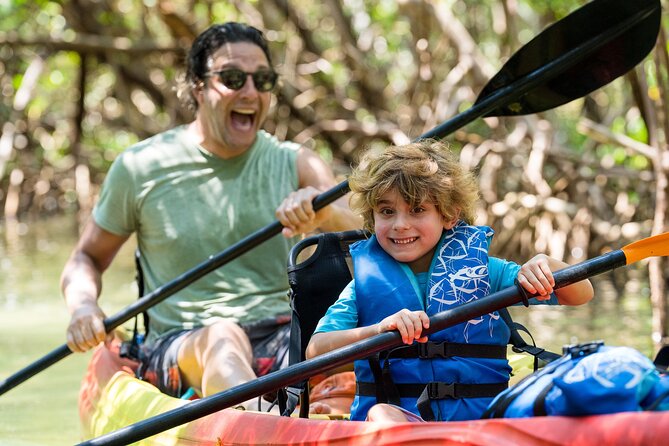 Sarasota Mangrove Tunnel Guided Kayak Adventure - Recap