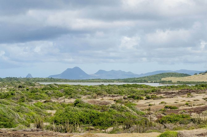 Savane Des Petrifications Hike - Visitor Reviews and Feedback