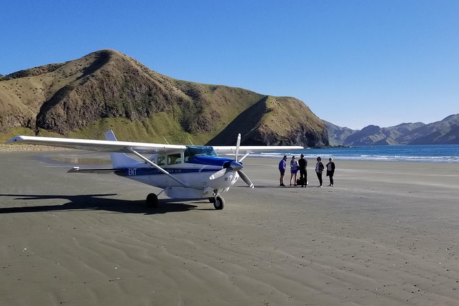 Scenic Flight - Experience Our Water and Wilderness Scenic Tour - Tips for a Great Experience