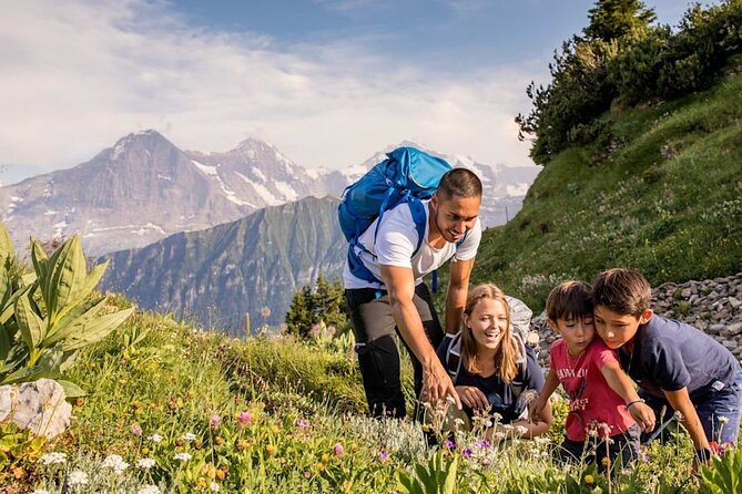 Schynige Platte Admission - Accessibility and Transportation