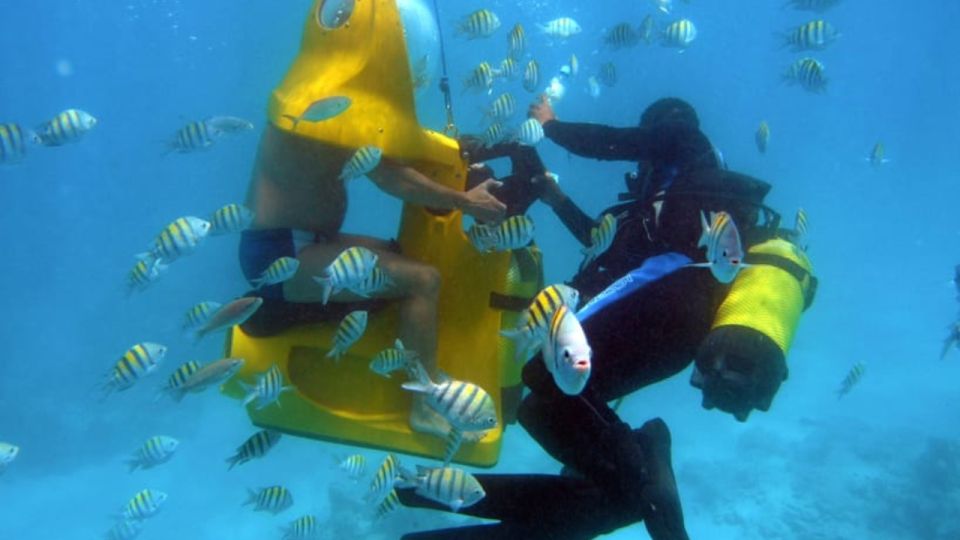 Scoba Doo Discover the Underwater Wonders of Punta Cana - Guided Assistance for a Memorable Experience