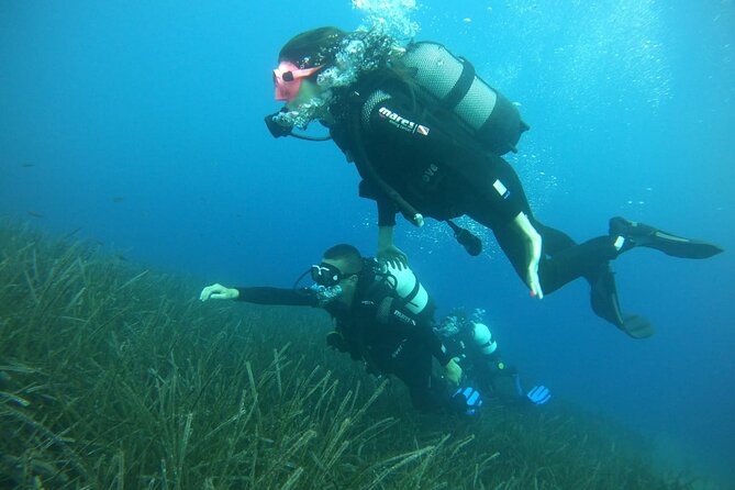 Scuba Diving Experience in Santorini - Pickup and Transportation Arrangements