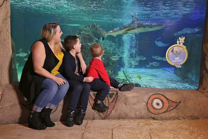 SEA LIFE Blackpool Admission Ticket - Planning Your Visit