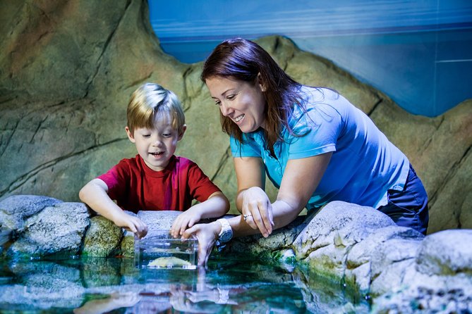 SEA LIFE Manchester Admission Ticket - Additional Information for Visitors