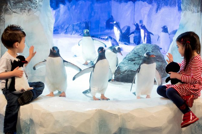 SEA LIFE Paris Val Deurope Aquarium Entry Ticket - Tips for a Great Visit
