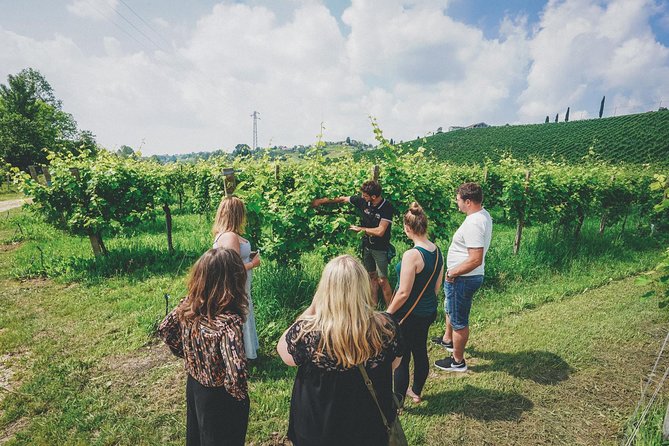 Semi-Private Prosecco Wine Tour From Venice - Booking and Confirmation