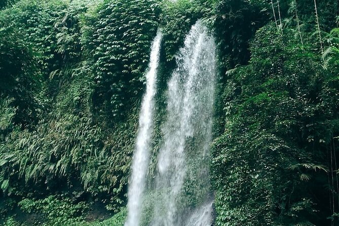 Sendang Gile & Tiu Kelep Waterfall Tour - Booking Process