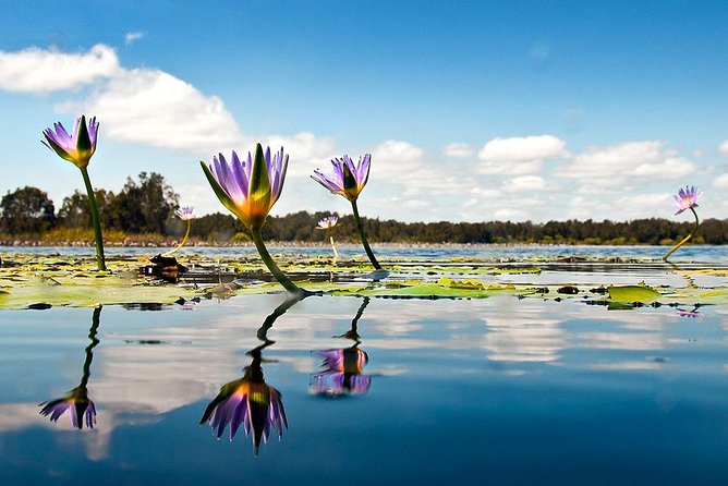 Serenity Cruise to Australias Everglades - Booking and Cancellation Policy