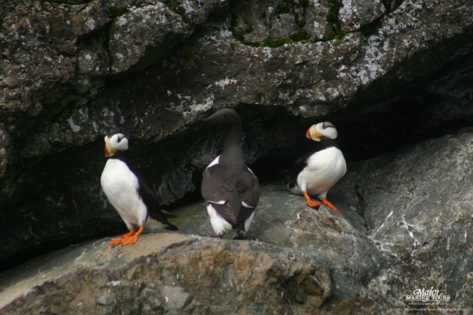 Seward: Kenai Fjords National Park Extended Cruise - Included Amenities and Provisions