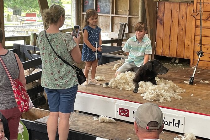 Sheep World Country Tour From Auckland - Notable Reviews and Insights