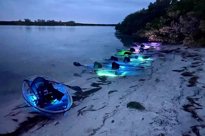Shell Key Clear Kayak Glow in the Dark Tour - Customer Reviews and Feedback