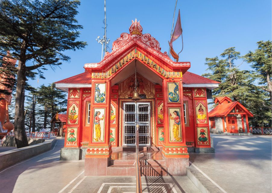 Shimla Nature Walk (3 Hours Guided Trekking Experience) - Customer Reviews