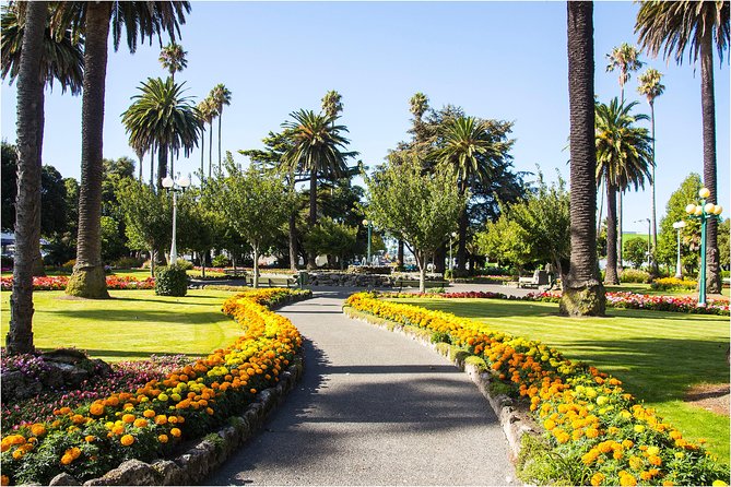 Shore Excursion: 4 Hour Premium Hawkes Bay and Napier Tour - Tips for Travelers