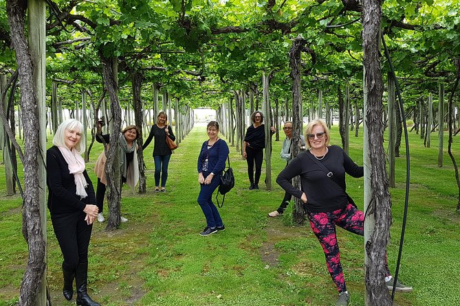 Shore Excursion Marlborough Wine Region Tour From Picton - Booking Information and Cancellation Policy