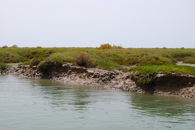 Short Boat Trip of the Algarves Ria Formosa Lagoon From Faro: 1 Hour - Booking and Cancellation Policy