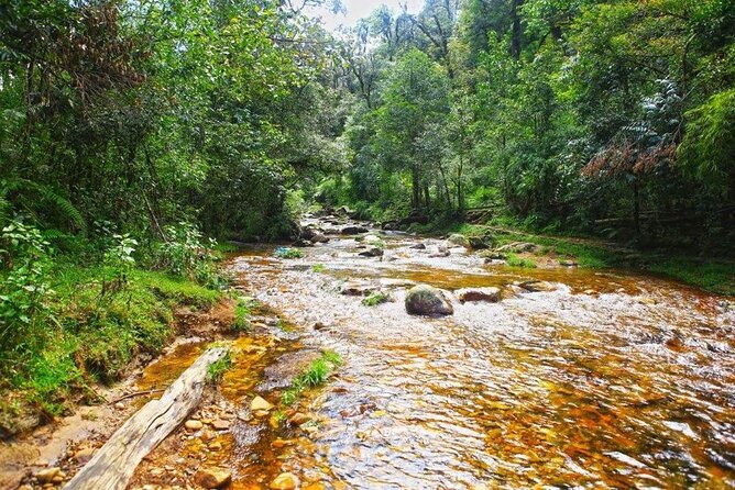 Silver and Love Waterfall, Lonely Tree Private Tour By Car - Customer Feedback and Reviews