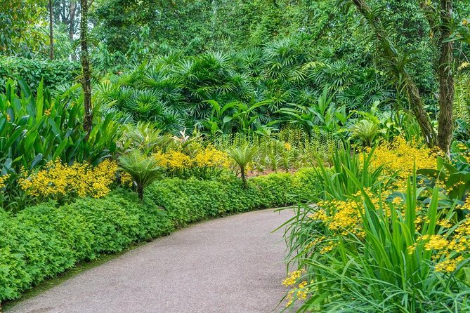 Singapore: National Orchid Garden Admission Ticket - Useful Tips for Your Trip