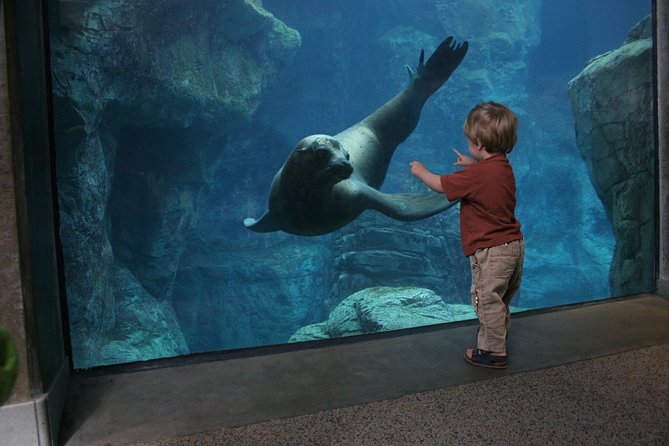 Skip the Ticketing Line: Aquarium of the Pacific General Admission Ticket - Additional Activities and Tours