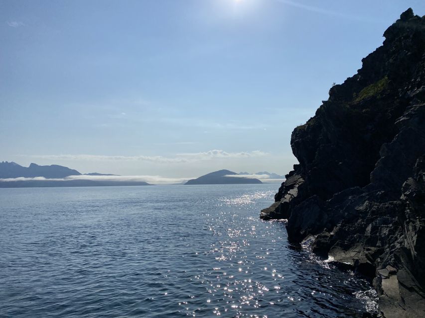 Skjervøy: Birds and Wildlife of Arctic Norway - Safety and Preparation