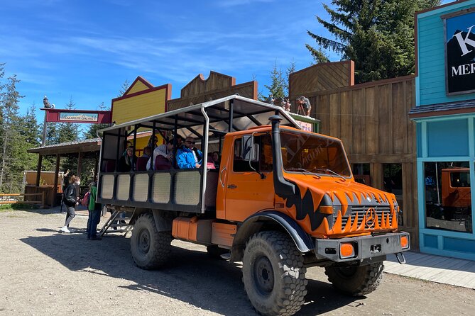 Sled Dog Discovery in Skagway - Recommendations for Visitors