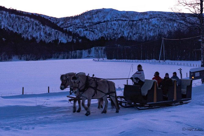 Sleigh Ride W/ Snacks - Experience Arctic Farm Life - Tips for Your Visit