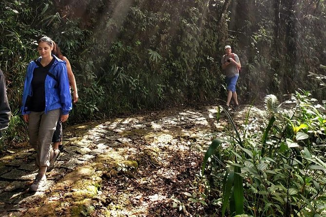 Small Group - Bach Ma National Park Trekking Tour From Hue - Tips for a Great Experience