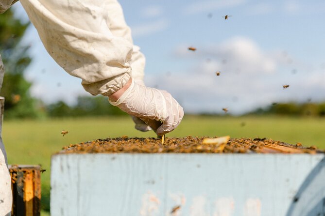 Small-Group Beekeeping Experience in Tauherenikau - Customer Reviews and Feedback