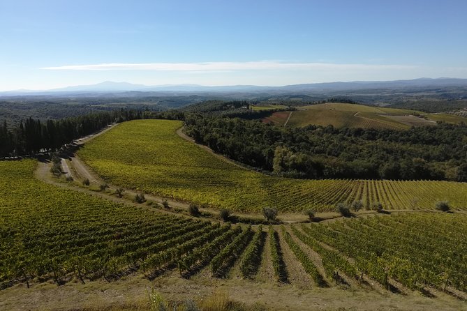Small-Group Chianti Trip With Wine Tasting From Siena - Transportation and Inclusions