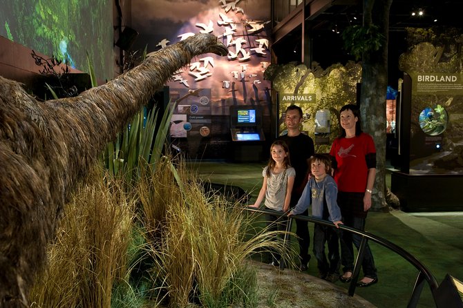 Small Group Daytime 2-Hour Eco Wildlife Tour at Zealandia - Tips for a Great Tour