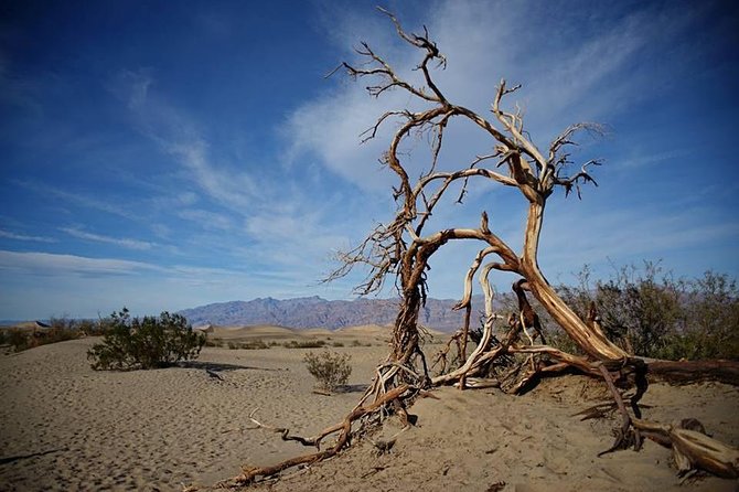 Small-Group Death Valley National Park Day Tour From Las Vegas - Booking Options