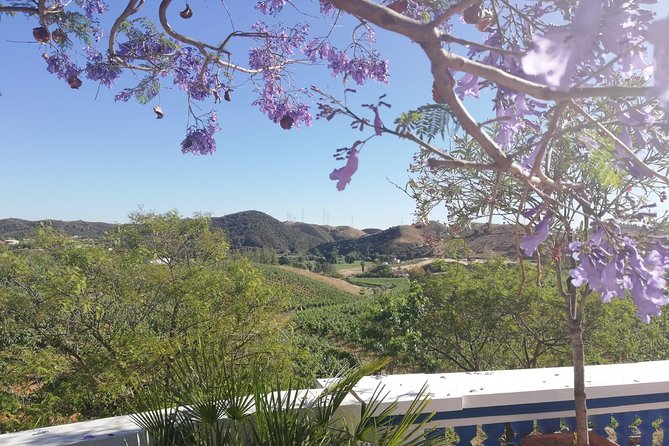Small-Group Wine Tour & Silves Exploration (from Albufeira) - Cancellation Policy
