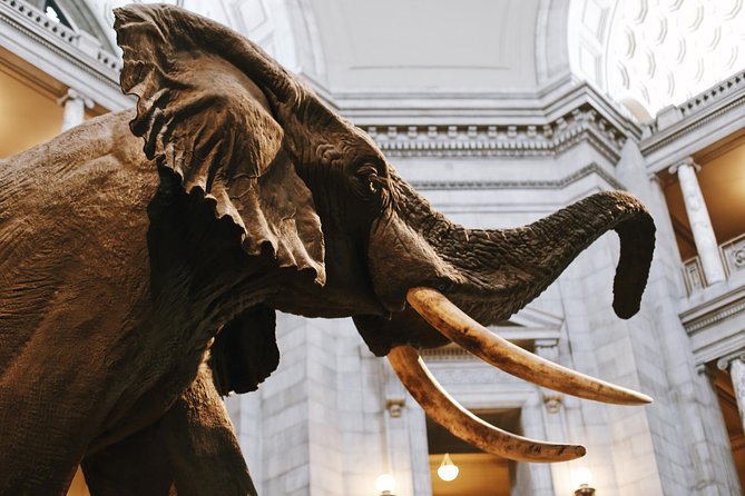 Smithsonian Museum of Natural History - Exclusive Guided Tour - Customer Reviews