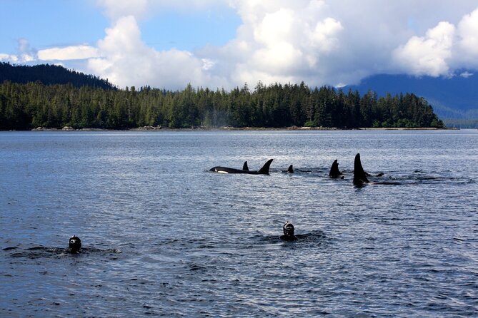 Snorkel Alaska - Preparing for Your Trip