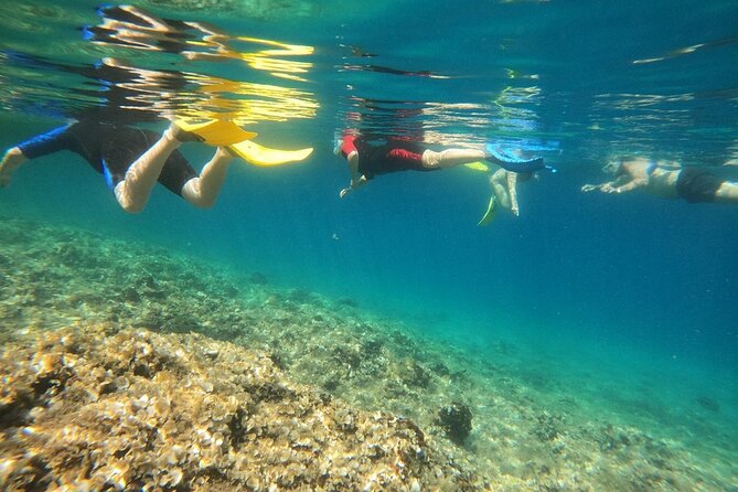 Snorkeling Boat Excursions in Nea Makri Athens - Swimming and Safety Considerations