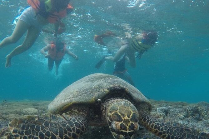 Snorkeling Gili Islands Coral, Turtles & Underwater Statues - Cancellation Policy and Refunds