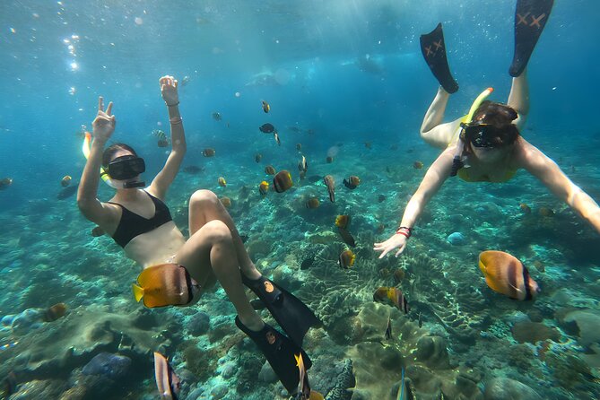 Snorkeling In Nusa Penida Departing From Bali Island - Round-trip Transport and Equipment