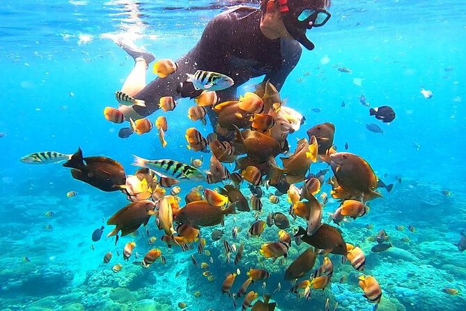 Snorkeling In Nusa Penida Manta Bay Private Boat Snorkeling - Booking Confirmation and Cancellation