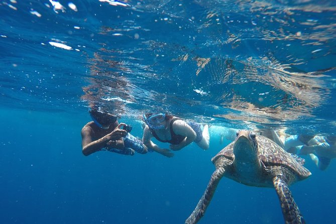 Snorkeling Tour In Gili Trawangan, Gili Meno And Gili Air Pick Up From Bali - Cancellation Policy and Considerations