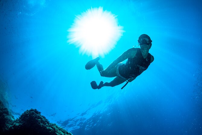 Snorkeling With Marine Biologist Expert From Sorrento - Booking and Accessibility