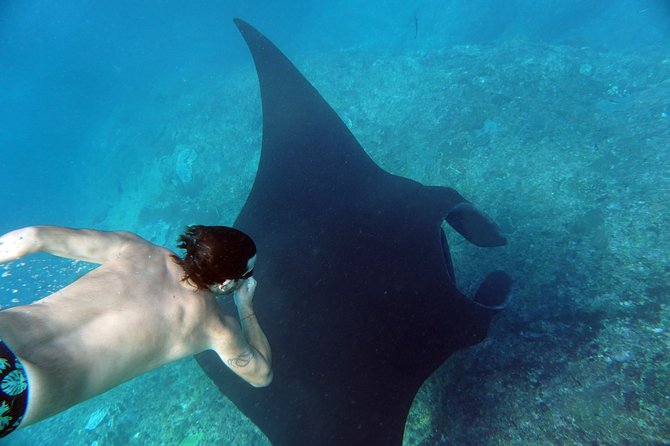 Snorkelling With Manta Rays - Safety and Accessibility Features