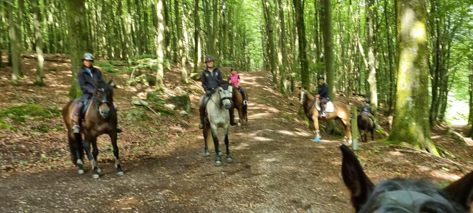 Söderåsen National Park: Horseback Riding Vacation 2 Nights - Nearby Attractions and Activities