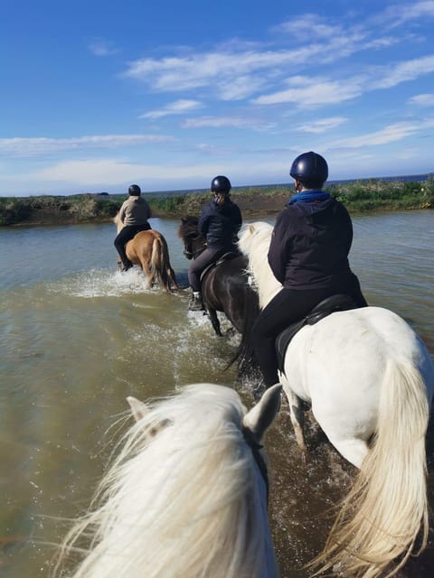 South of Iceland: Black Beach Riding Tour - Booking and Cancellation Policy