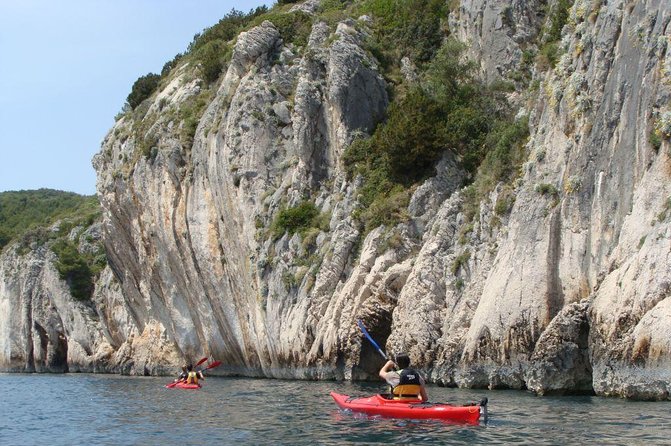 Southern Cliffs Sea Kayak Adventure - Reviews and Ratings Highlights