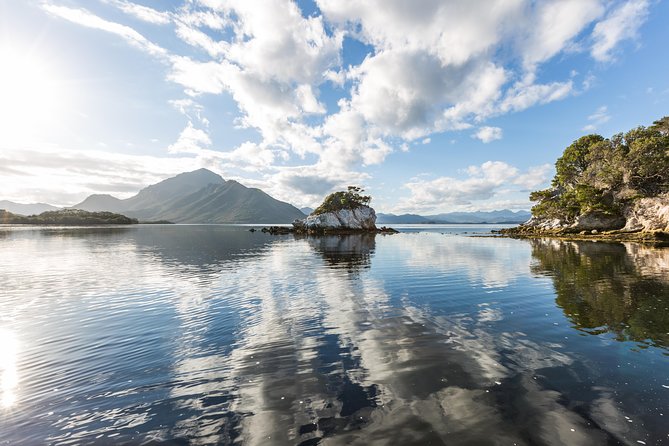 Southwest Tasmania Wilderness Experience: Fly Cruise and Walk Including Lunch - Traveler Reviews and Feedback