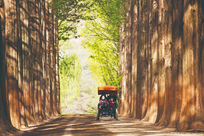 Special Private Tour Nami Island, Rail Bike, Petite France - Booking and Confirmation