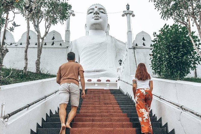 SriLanka Country Side Tour - What to Expect