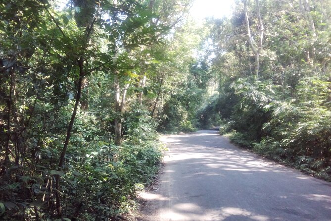 Srimangal Nature Tour in Forest and Tea Garden - Nearby Attractions