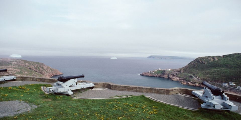 St. John'S: Small Group Tour With Iceberg Quest Boat Cruise - Iceberg Quest Boat Cruise