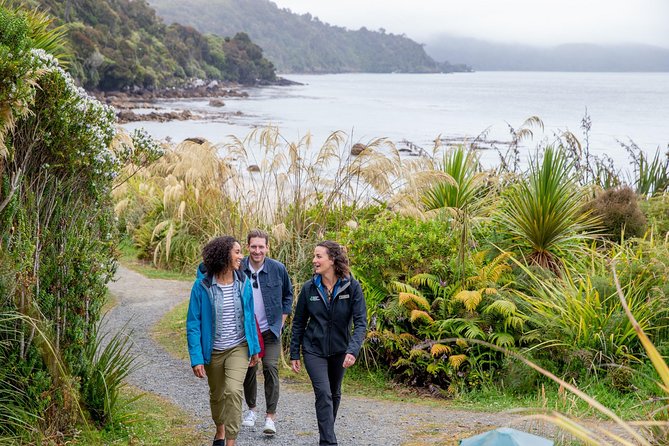 Stewart Island: Village and Bays Tour - Local Culture and Wildlife
